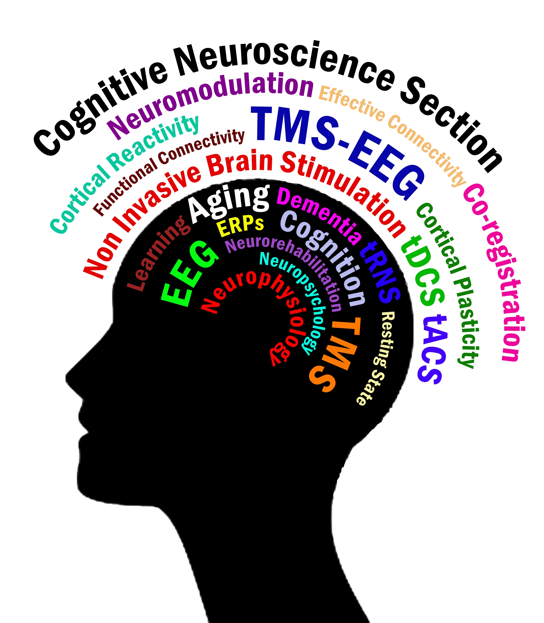 Cognitive Neuroscience